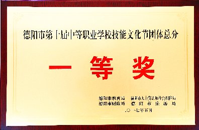 17年市級（含）以上獲獎(jiǎng)證書